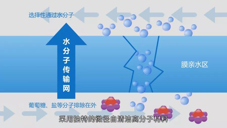 /uploads/image/2020/08/05/13bc381e3dea21226044f64af8bed971.jpg 微信圖片_20200805163824.jpg