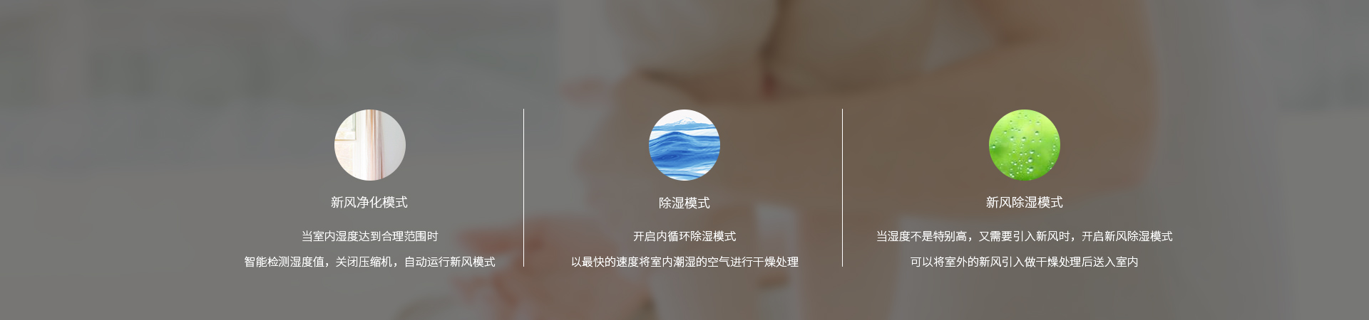 /uploads/image/2020/08/05/e636ea4a4cd2f9ff035995214fc5591d.jpg 網(wǎng)站--舒爽系列_16.jpg