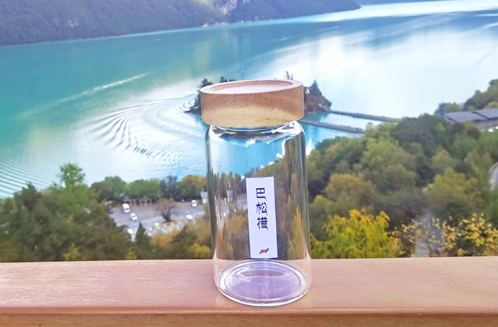 /uploads/image/2020/11/02/7b2f76b575922ead10ed034bfbdd00a1.png 巴松措.png